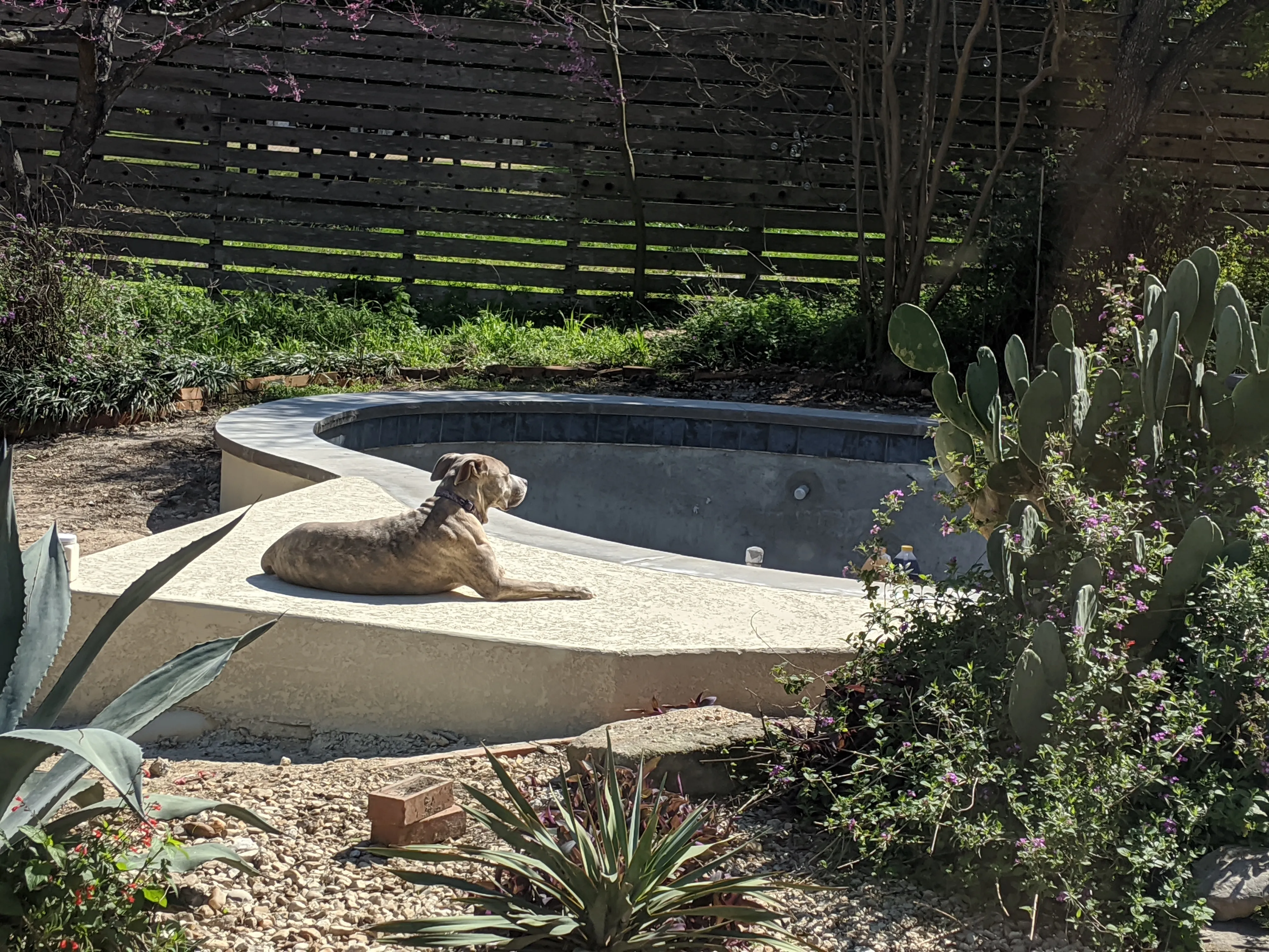 Sunning herself