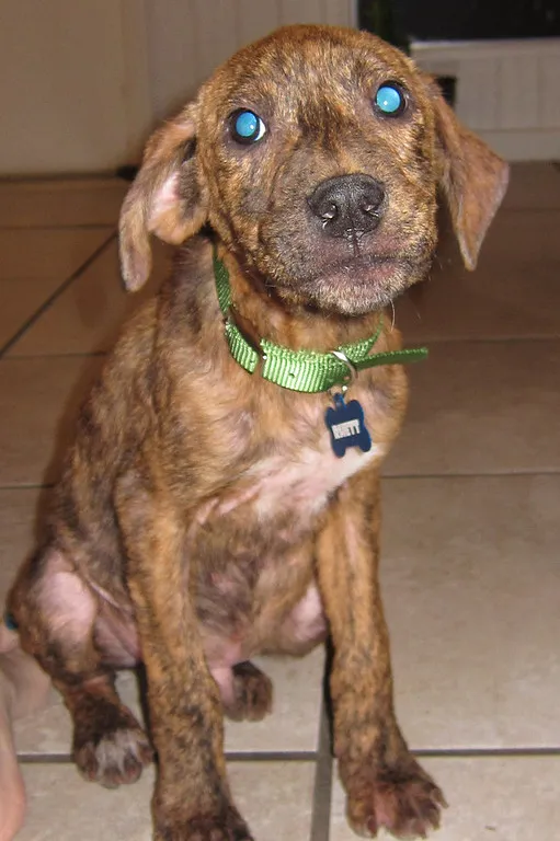 How was he this small?