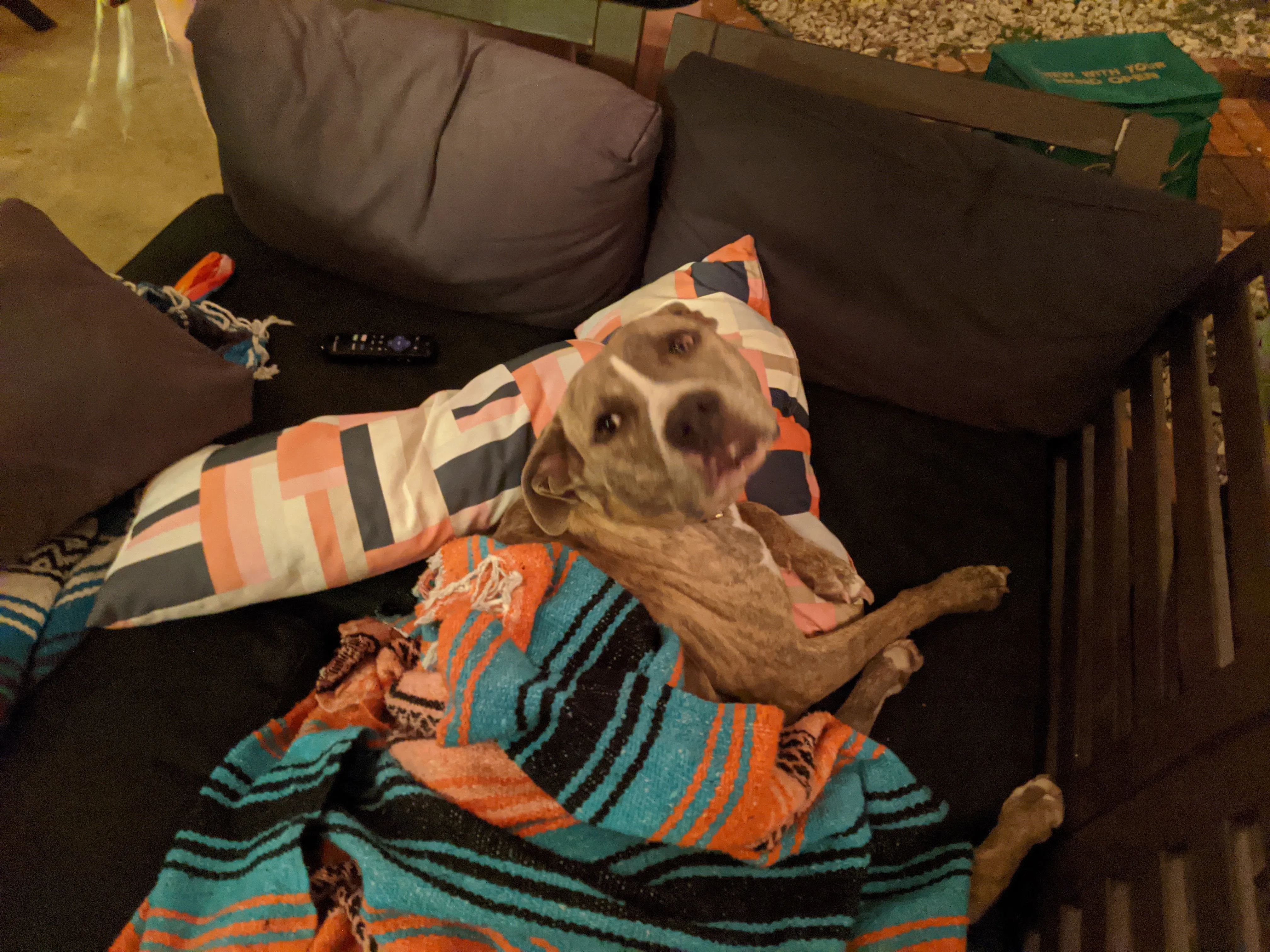 Junie putting herself to bed