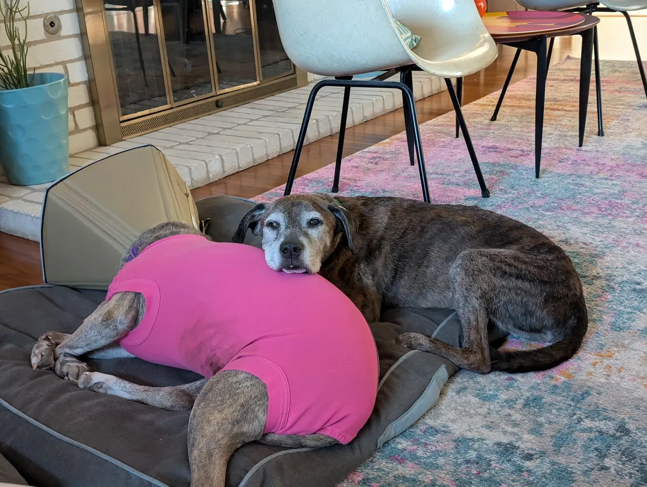 Cuddling